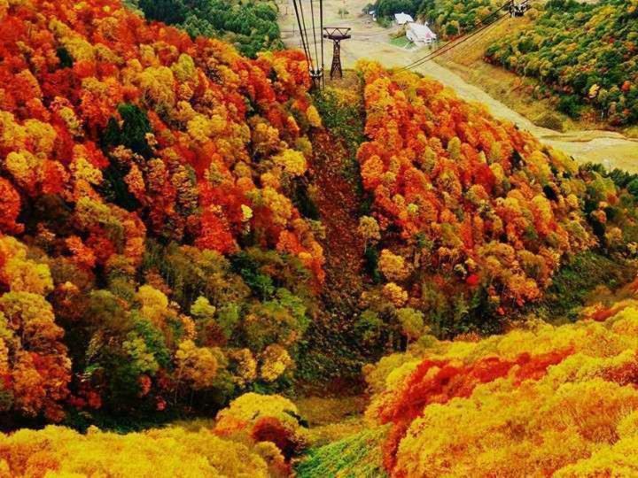 Hotel Yudanaka Yamanouchi  Dış mekan fotoğraf